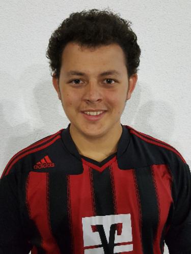 Cris Luca Holzmann