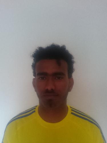 Ali Ismail