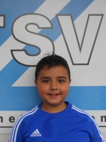 Vedat Aydin