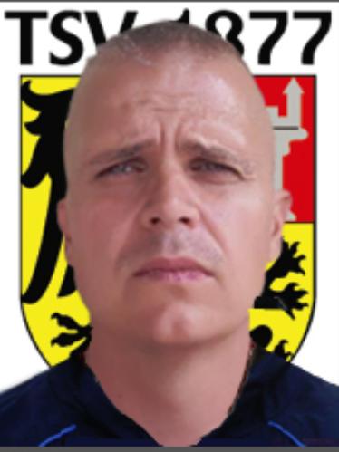 Avatar Bild für Niki Zeisler