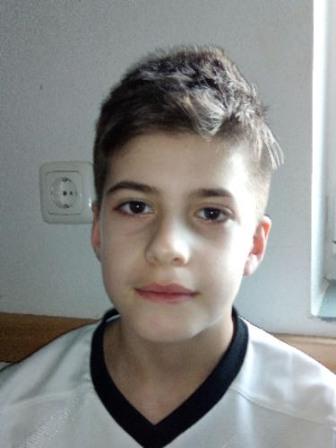 Berin Grlic