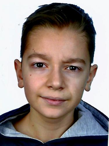 Stefano Goinski