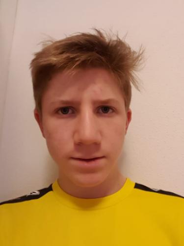 Timo Krieg