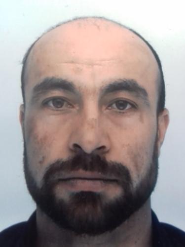 Mohammad Maleki
