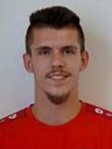 Dominik Heim