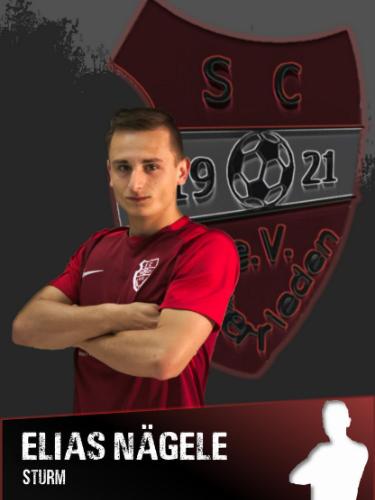 Elias Naegele