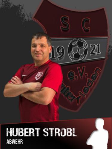 Avatar Bild für Hubert Strobl