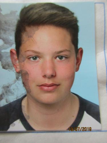 Dominik Männer
