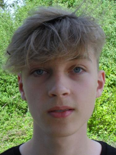 Noel Ludwig