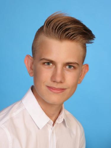Niklas Nitsche
