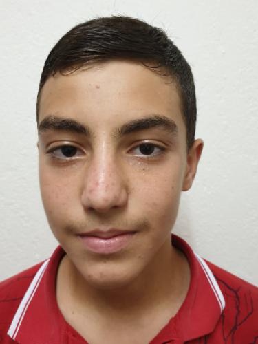 Ismail Demirtas