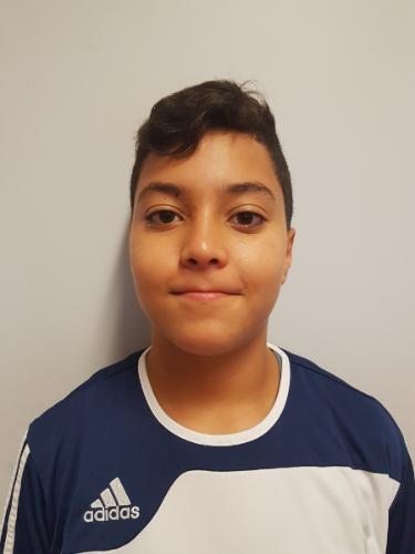 Mohamad Alasfour