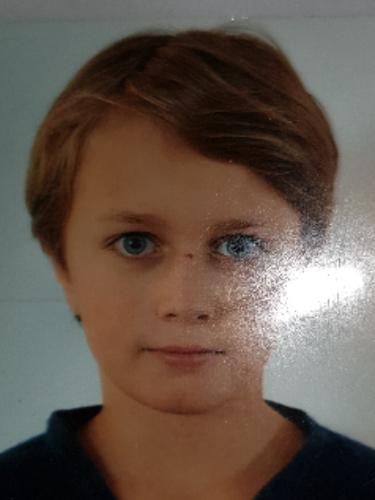 Levi Büdel