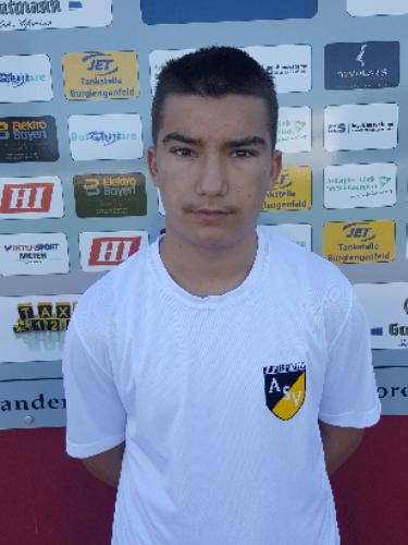 Altrin Desku