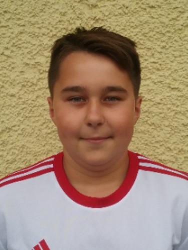 Milan Rödel