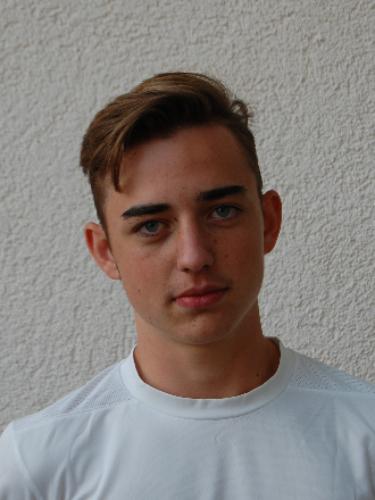 Emanuel Holzapfel