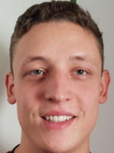 Niklas Mehringer