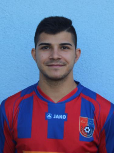 Ionut Pirvan