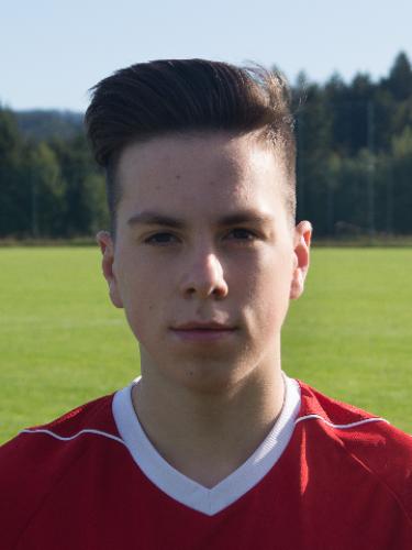 Niklas Raab