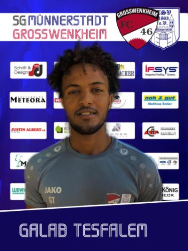 Avatar Bild für Galab Tesfalem