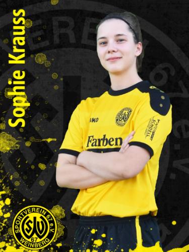 Avatar Bild für Sophie Krauß
