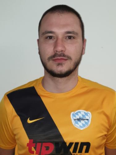 Semir Sejmenovic