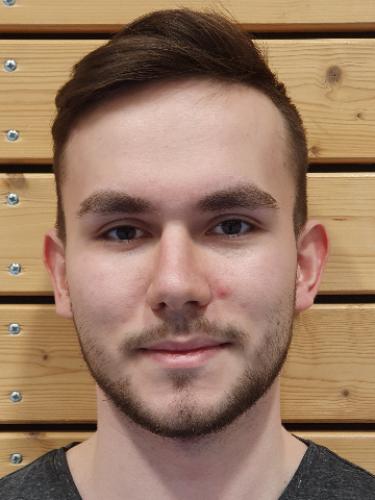 Hannes Greindl