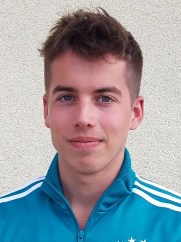 Henrik Gegner