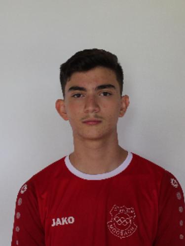Arian Henareh