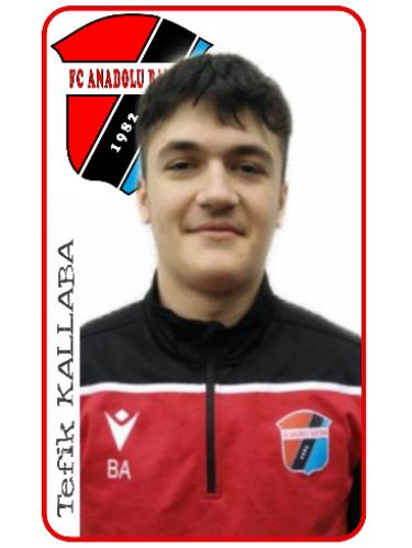 Tefik Kallaba