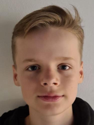 Timm Löb