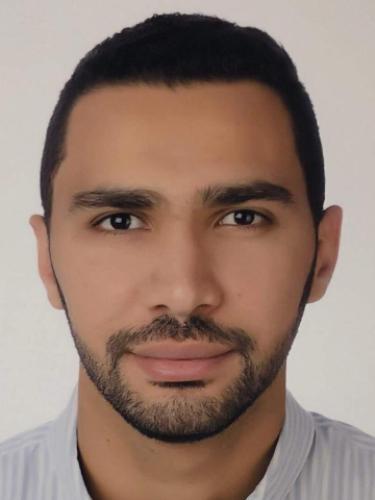 Ahmed Amer
